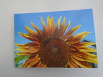 The Woodland Haberdasher Flower Fandango greeting card 