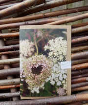 Card with floral design shaping a heart photo taken by Fay Jones 