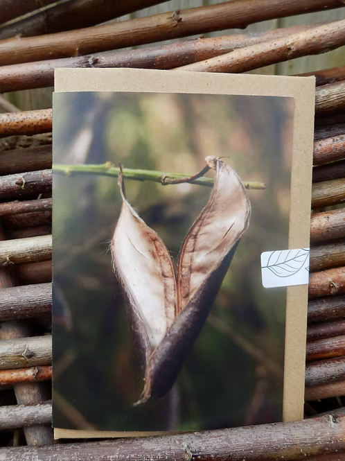 Card with nature-themed design featuring a leaf and branch photo taken by Fay Jones 