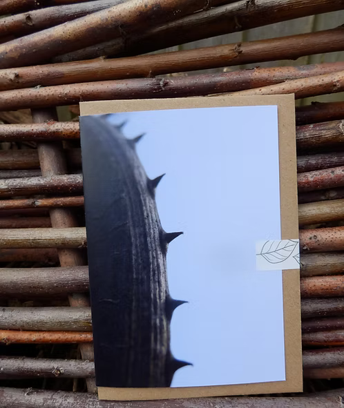 Card with a spiky plant design photo taken by Fay Jones