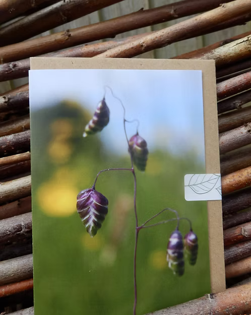 Card with nature-themed design featuring purple flowers photo taken by Fay Jones