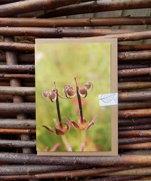 Greeting card with nature-themed design photo taken by Fay Jones