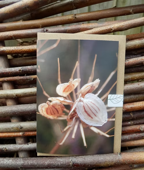 Card with floral design photo taken by Fay Jones