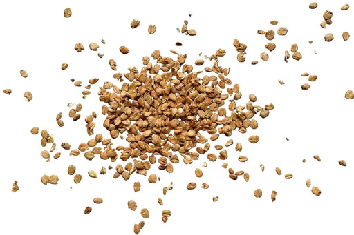 Hodmedod's malted wheat flakes organic