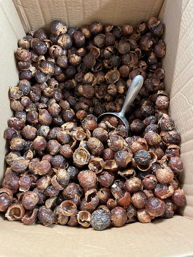 Soapnuts - Organic quantities available 250g/500g/750g/1kg